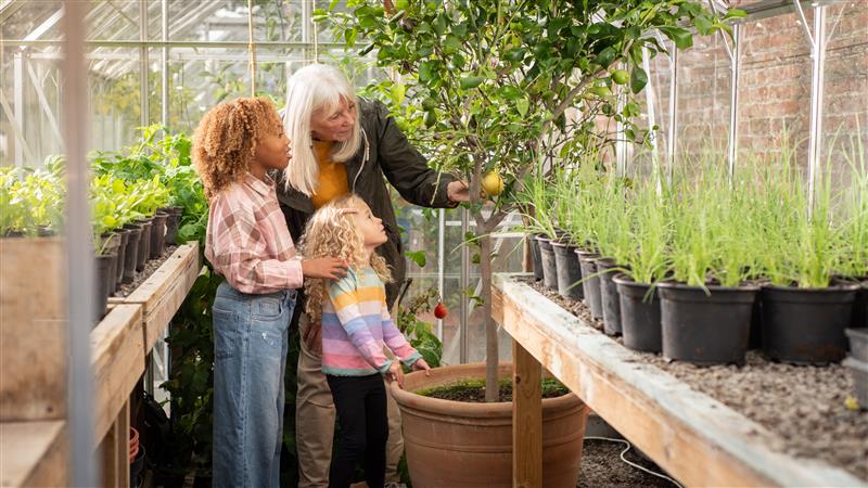 Family in a greenhouse