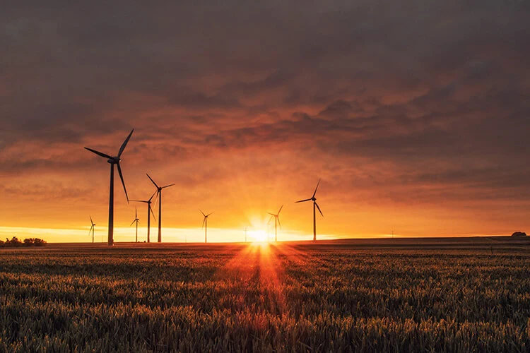 Wind turbines appear in front of sunset